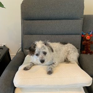 Meet your Posher, Sally